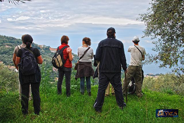 in vista di sorrento.JPG